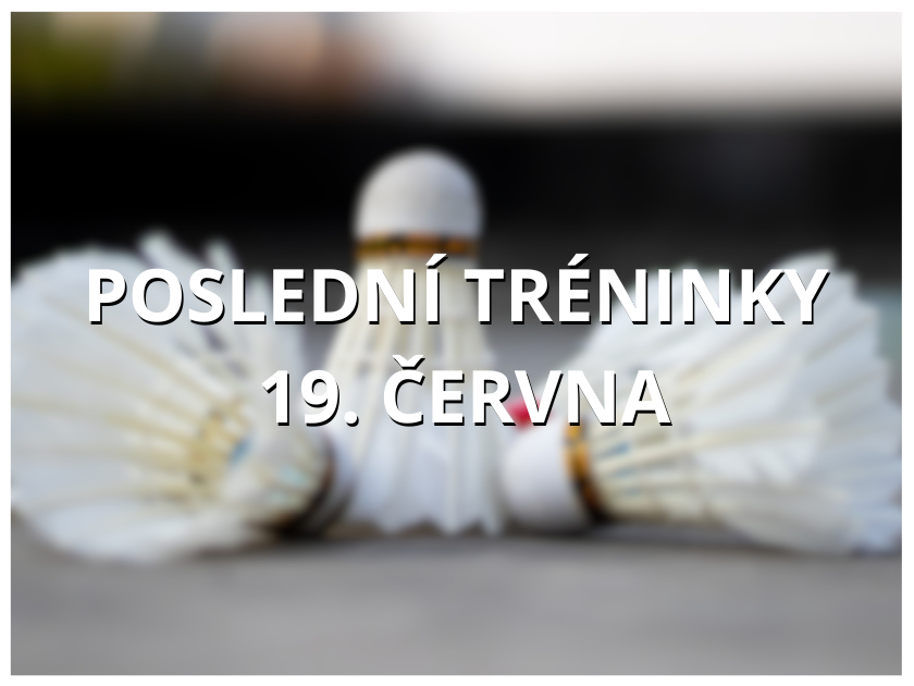 <center><font color=red>Poslední tréninky</font>